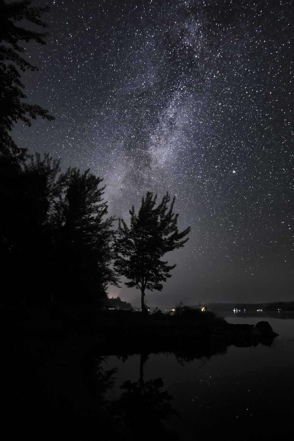 The milky way rises over a maple on the edge of a lake